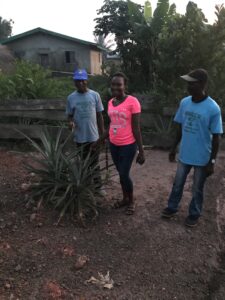 Jusu, Jennifer, and MOH volunteer inspect two pineapple plants